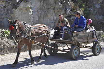 Horse and cart