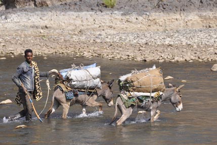 Crossing the Bashilo