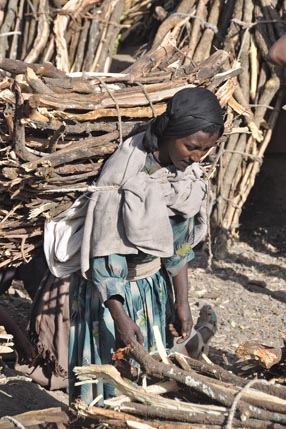 Carrying firewood