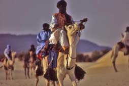 Tuaregs