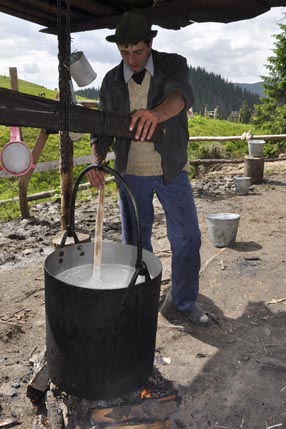 Making cheese