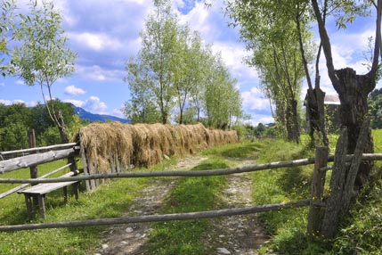 Hay drying